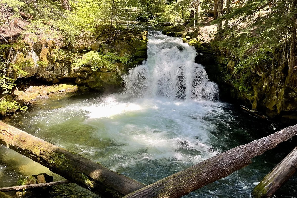 Waterfall and forest trail in Southern Oregon
