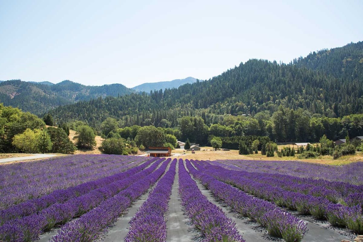 Rogue Valley landscape in Southern Oregon